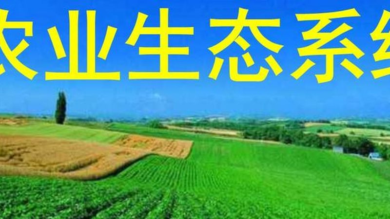 农资短视频获客技巧教程