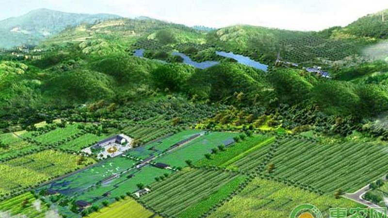 重庆山地农业项目，如何选择合适的厂家？**