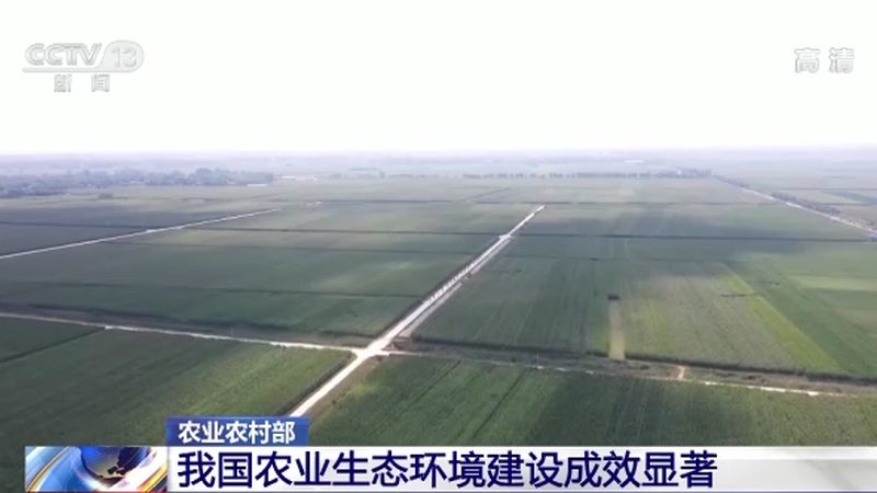 有机蔬菜批发价格揭秘：厂家直供背后的真相