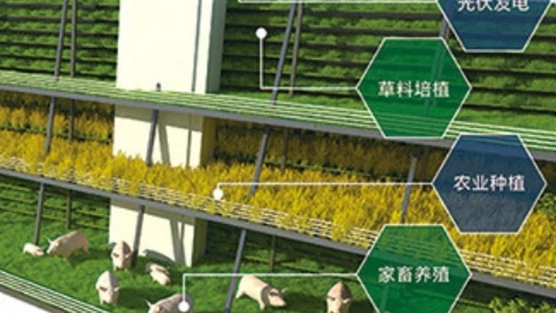 生态农业加盟，如何选择靠谱公司？**