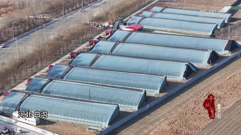 小型农场数字化管理平台：如何找到最适合你的“大脑