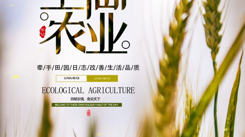 有机蔬菜定制套餐的价格主要由以下几部分构成：
